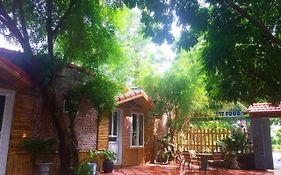 Tam Coc Green Fields Homestay